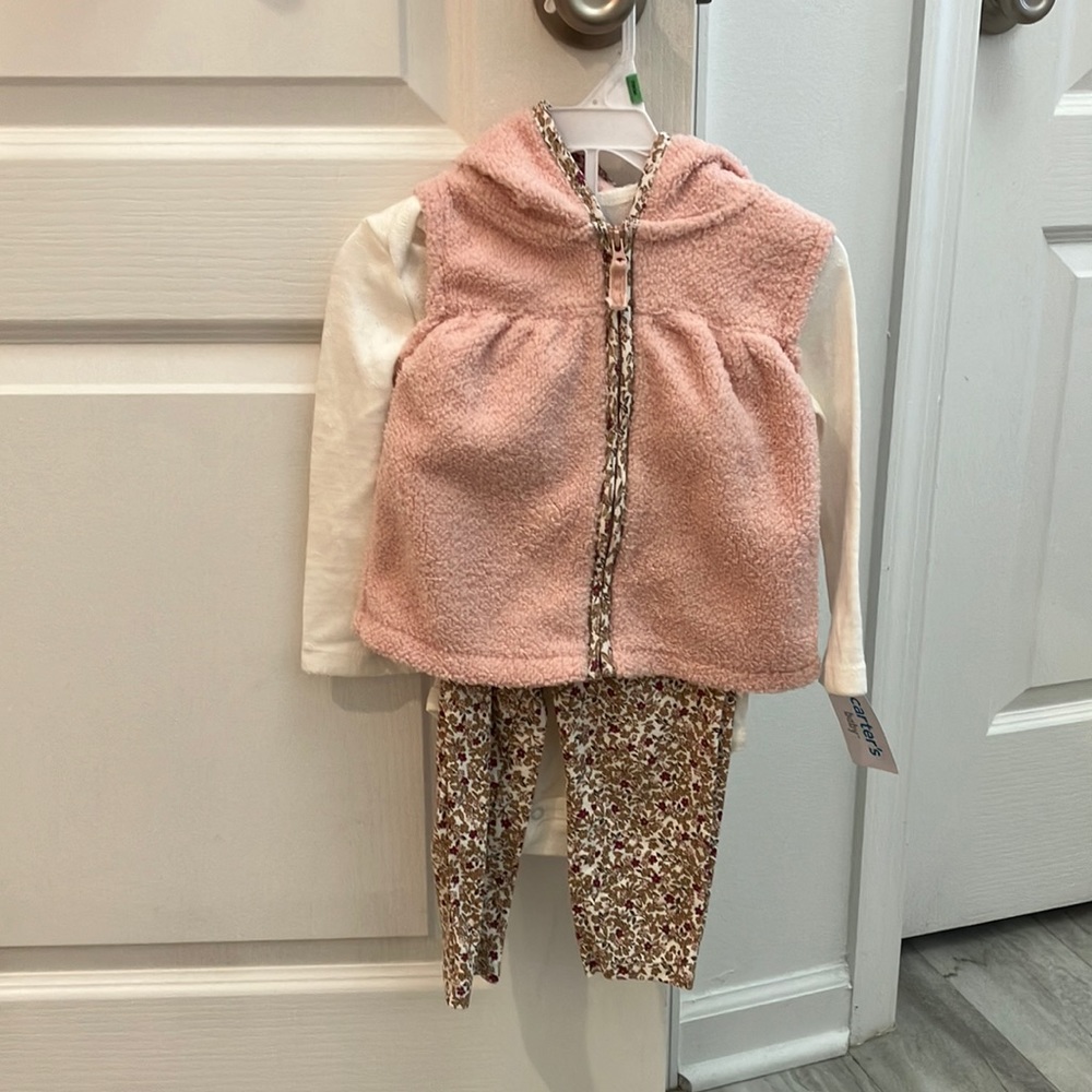 Carter's baby girl 3 piece set 18M